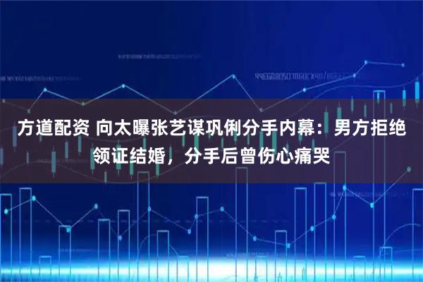 方道配资 向太曝张艺谋巩俐分手内幕：男方拒绝领证结婚，分手后曾伤心痛哭