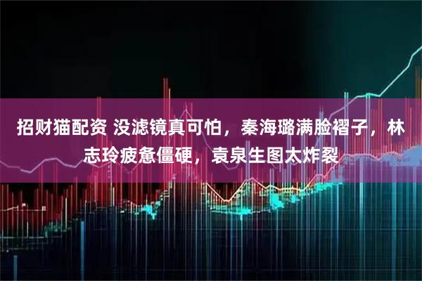 招财猫配资 没滤镜真可怕，秦海璐满脸褶子，林志玲疲惫僵硬，袁泉生图太炸裂